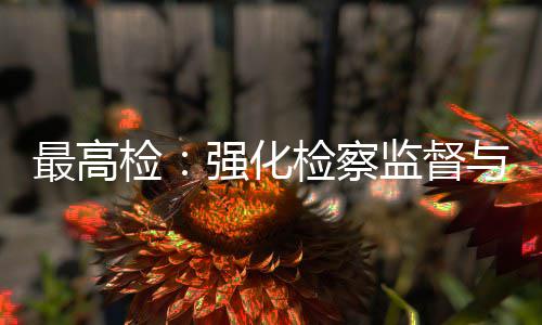 联动与司最高行业检检察监督建筑监管法审强化判