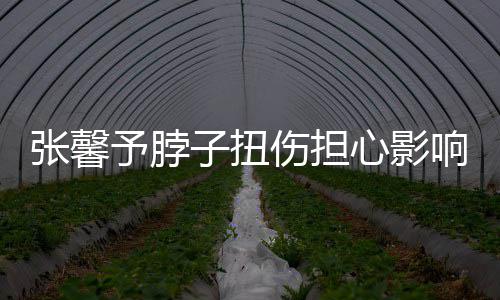 倒霉予脖张馨子扭心影响主发文伤担持 称好